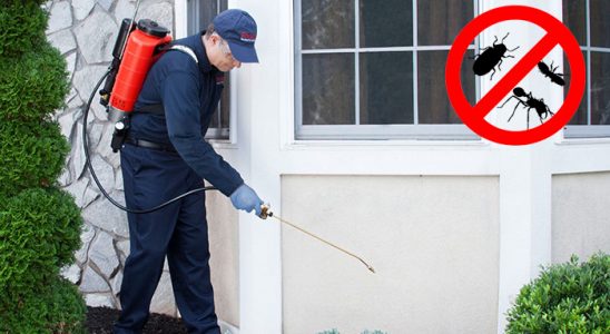 Birecik Hamam Böceği İlaçlama böcek ilaçlama ve haşere kontrolü — ilaclama-tr.com